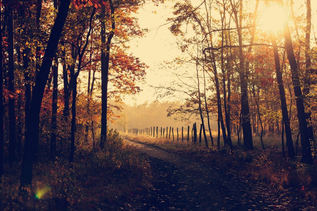 autumn decluttering: storing summer equipment in the winter