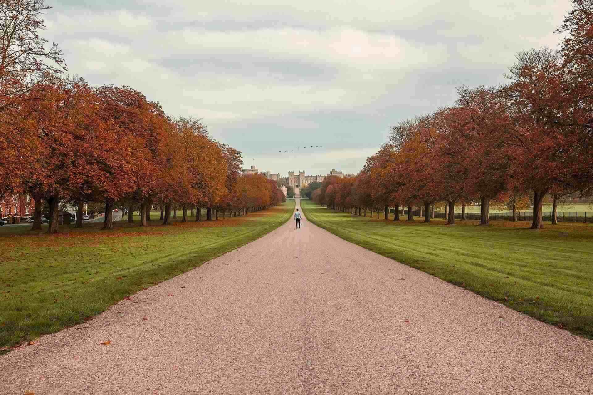 Removals Datchet & Langley