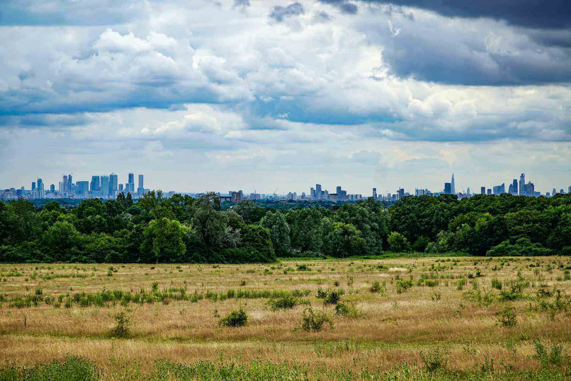 Removals Friern Barnet