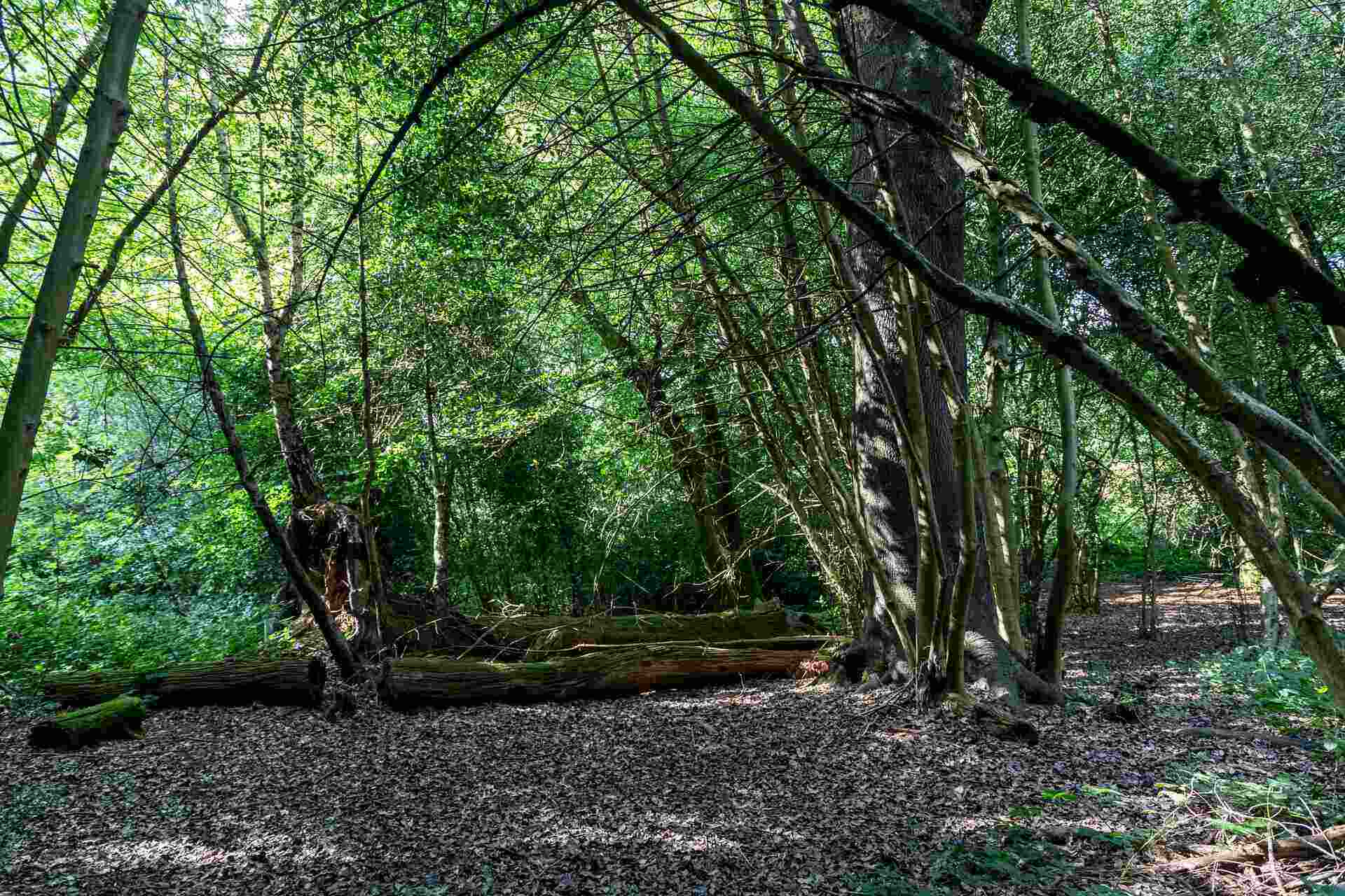 Removals North Finchley