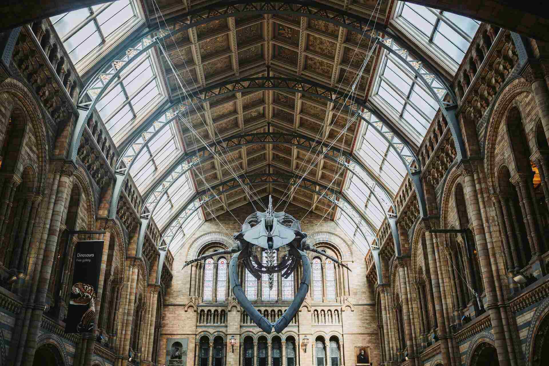 Removals South Kensington