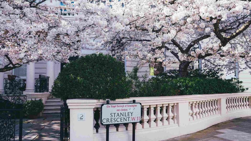 Notting Hill W11 area guide