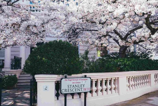 Notting Hill W11 area guide