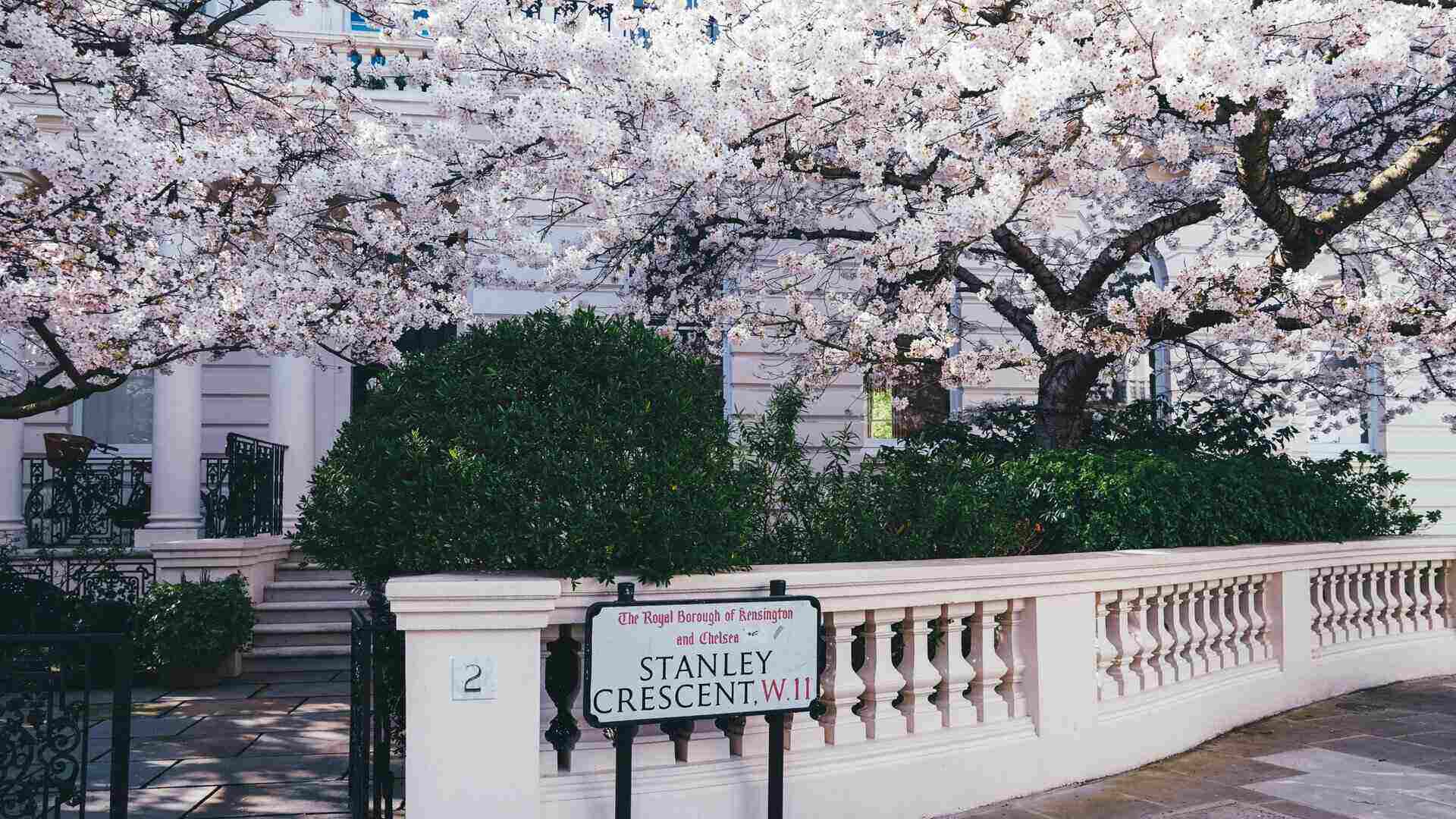 Notting Hill W11 Area Guide: What New Residents Should Know