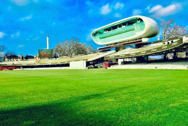 St John's Wood NW8 Area Guide